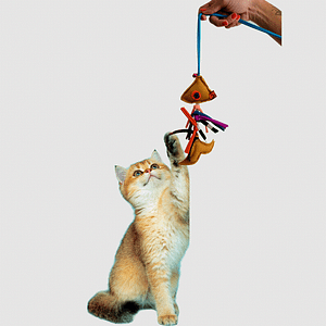 Esqueleto peixe p/ GATOS