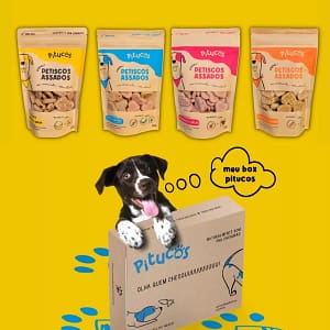 Box Petiscos Clássico 140g (4 unidades)